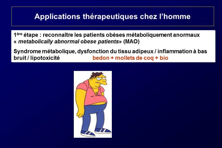 Diapositive27.JPG