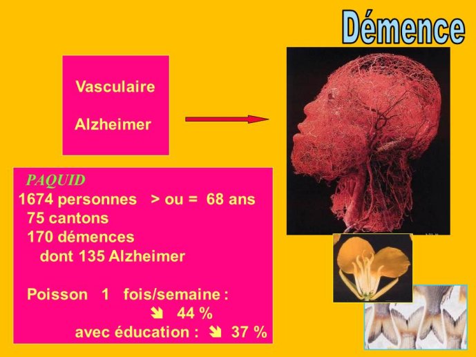 Diapositive19.JPG