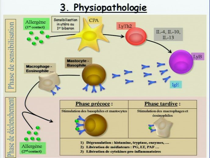 slide_0005_full.jpg
