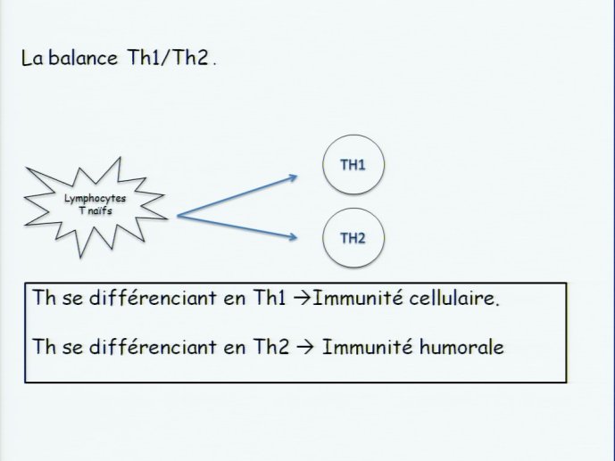 slide_0008_full.jpg