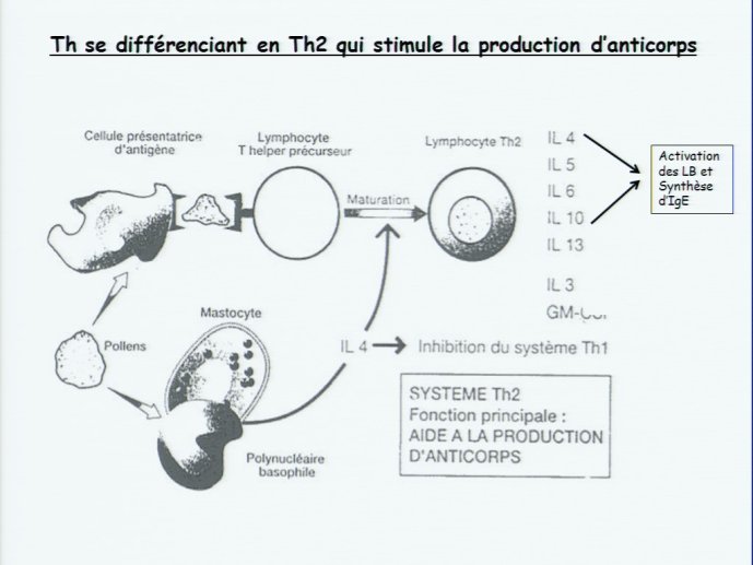 slide_0009_full.jpg