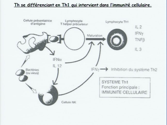 slide_0010_full.jpg