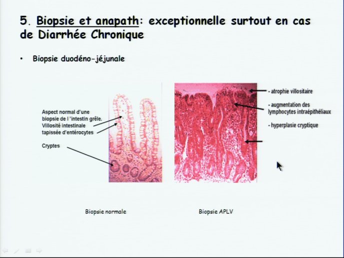 slide_0019_full.jpg