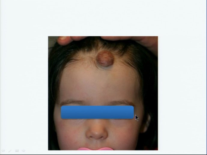 slide_0064_full.jpg