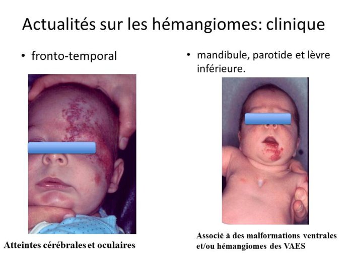 slide_0073_full.jpg