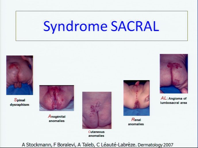 slide_0074_full.jpg