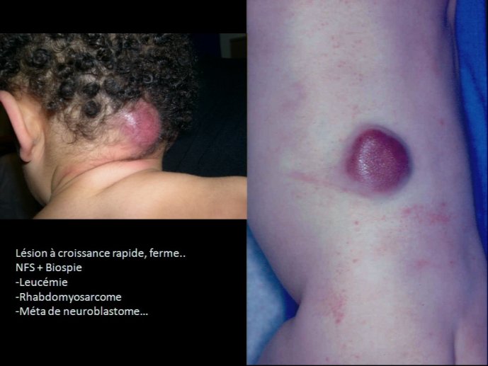 slide_0086_full.jpg