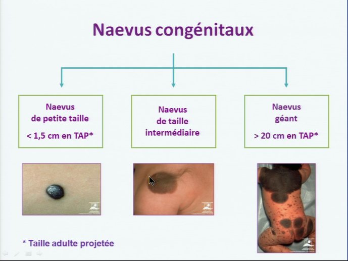 slide_0088_full.jpg
