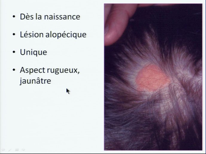 slide_0098_full.jpg