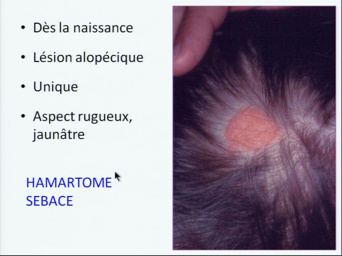 slide_0099_full.jpg