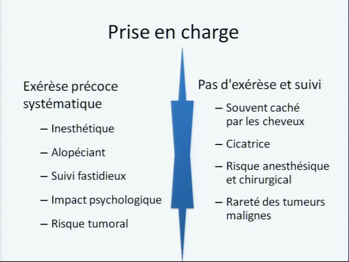 slide_0101_full.jpg