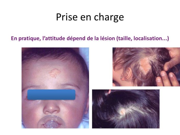 slide_0102_full.jpg