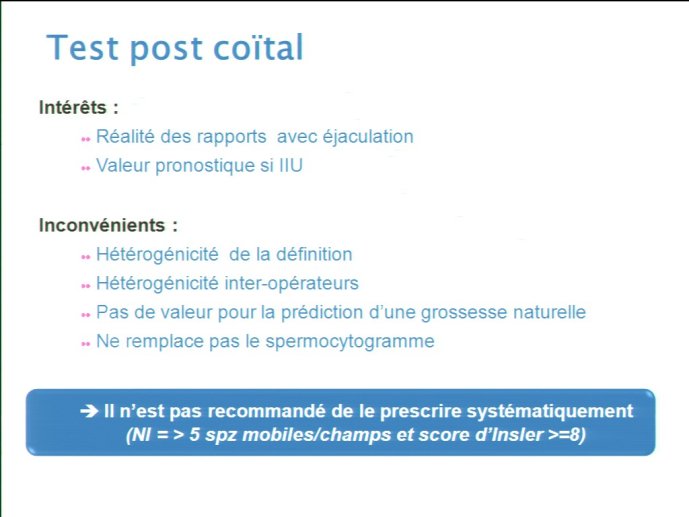 slide_0020_full.jpg