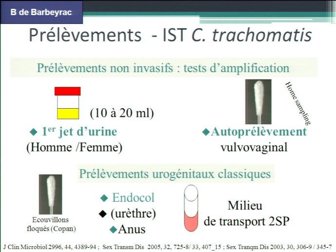 slide_0105_full.jpg