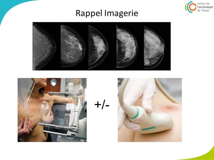 Diapositive4.JPG