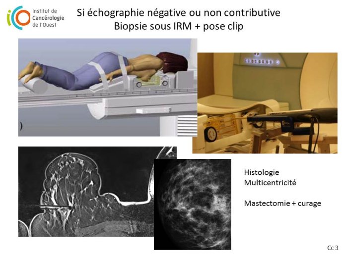 Diapositive44.JPG