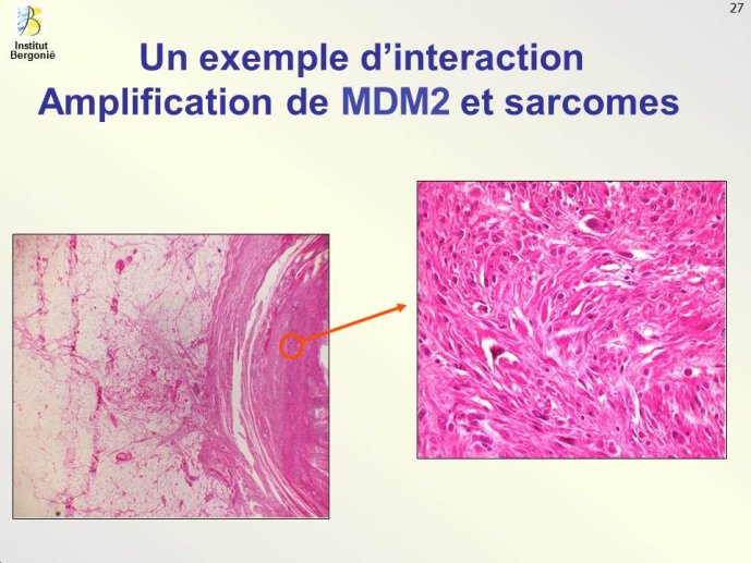 Diapositive27.JPG