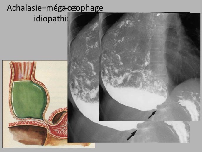 Diapositive35.JPG