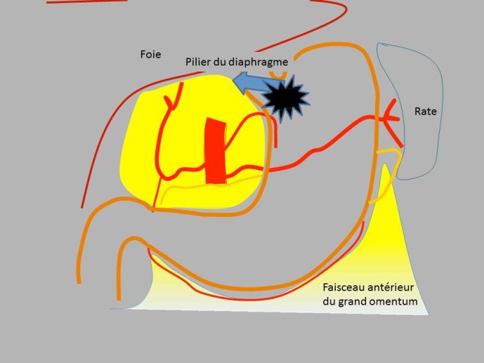Diapositive54.JPG