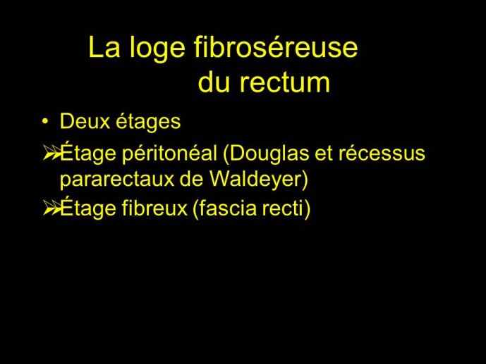 Diapositive3.JPG