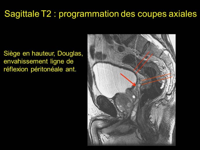 Diapositive9.JPG