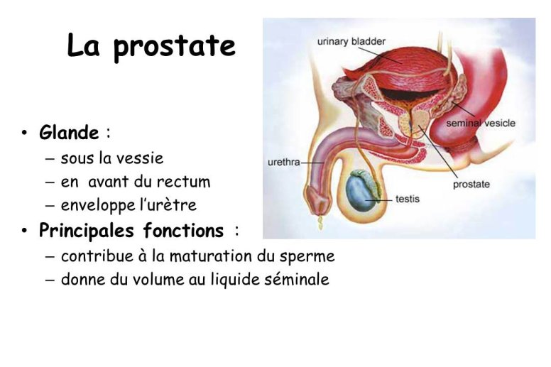 Diapositive2.JPG