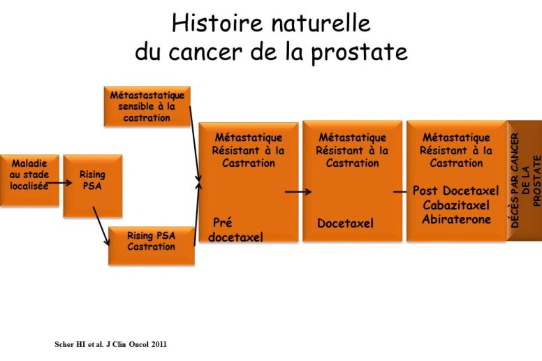 Diapositive3.JPG