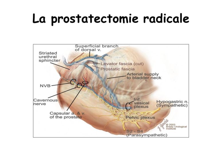 Diapositive8.JPG