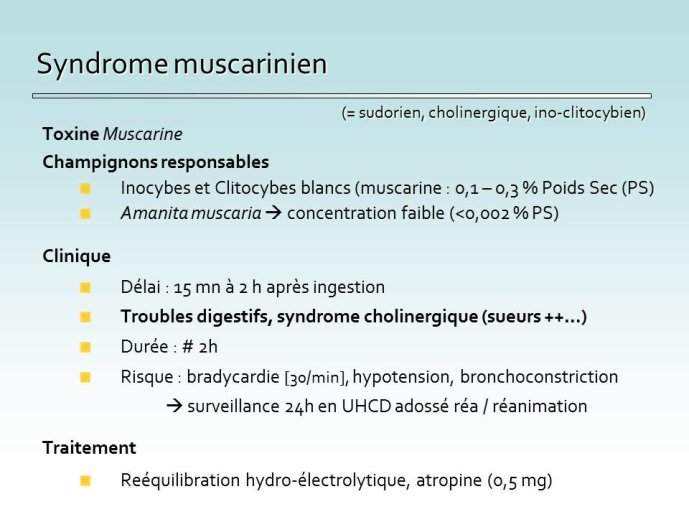 Diapositive15.JPG