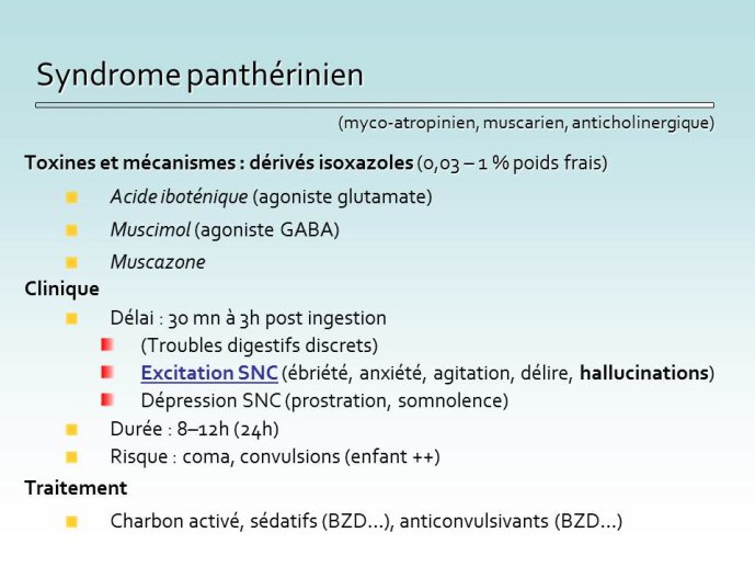 Diapositive19.JPG