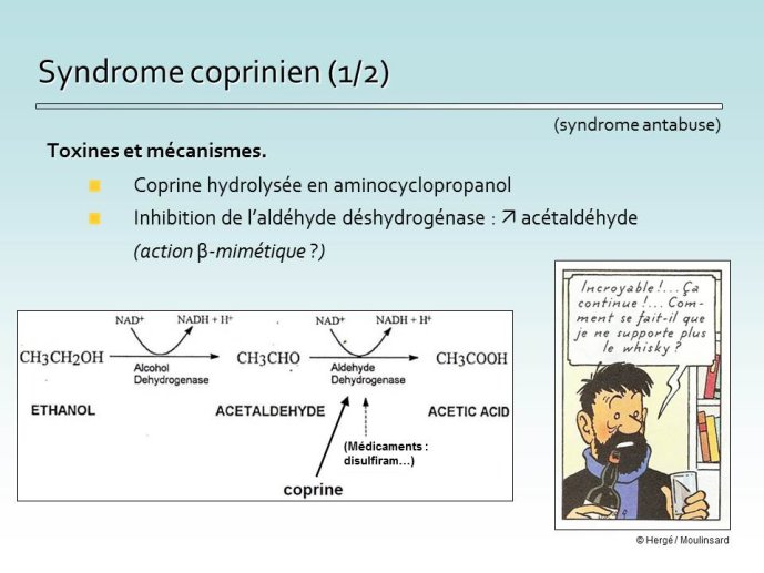 Diapositive23.JPG