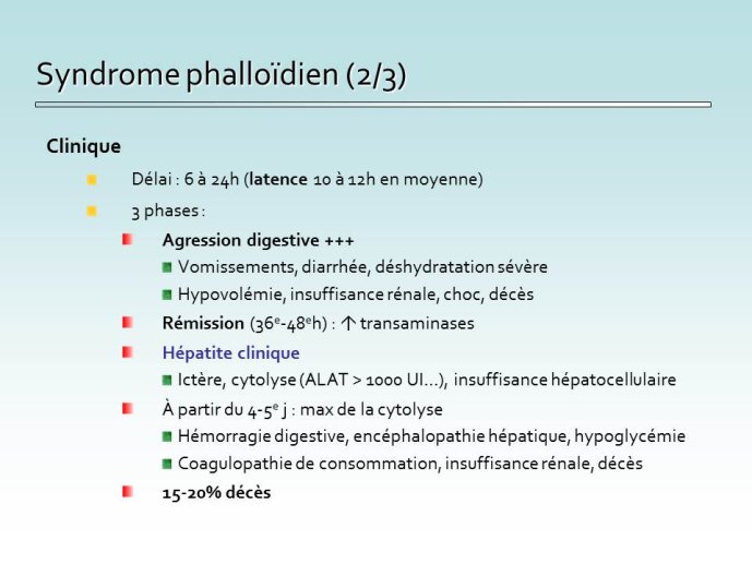 Diapositive36.JPG