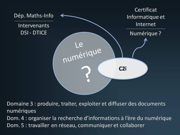 Ferrante-DH-14.JPG