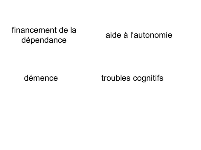 Diapositive46.JPG