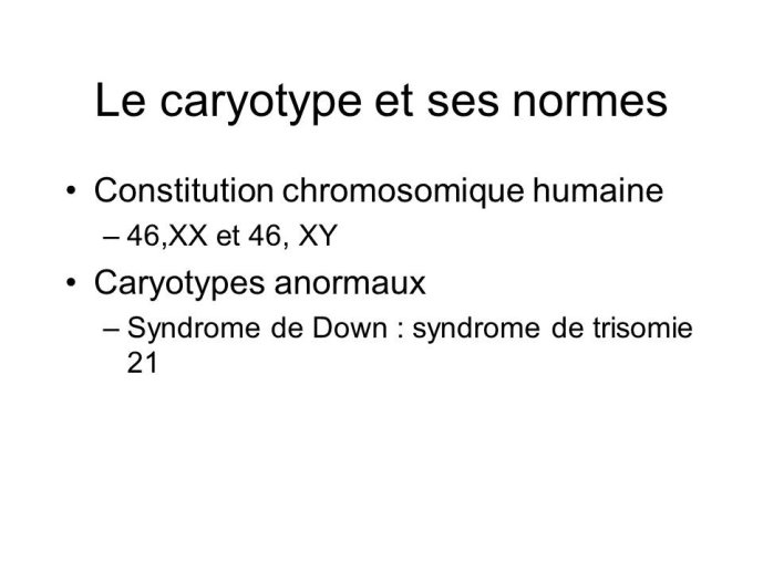 Diapositive8.JPG