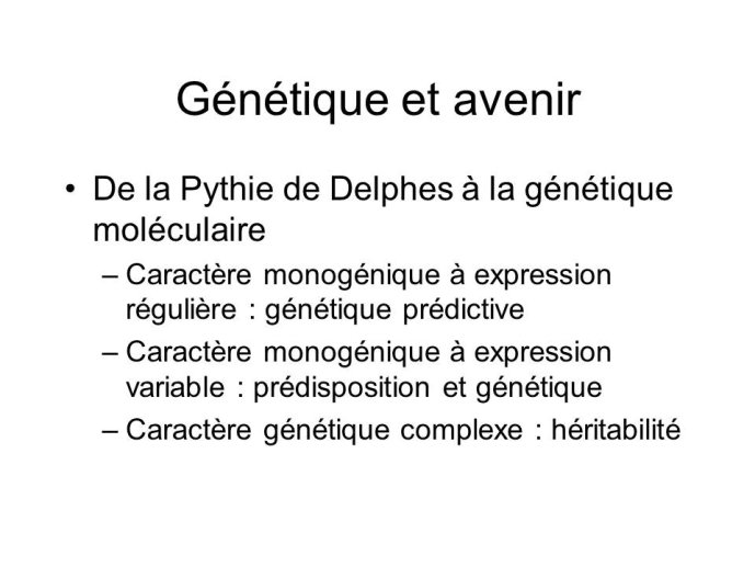 Diapositive15.JPG