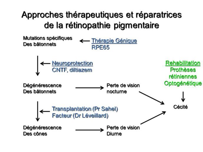 Approches thérapeutiques