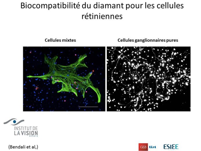 Biocompatibilité