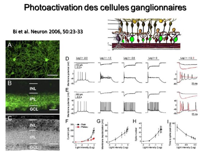 Photoactivation