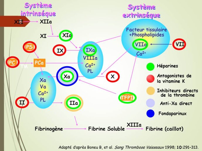 Diapositive8.JPG