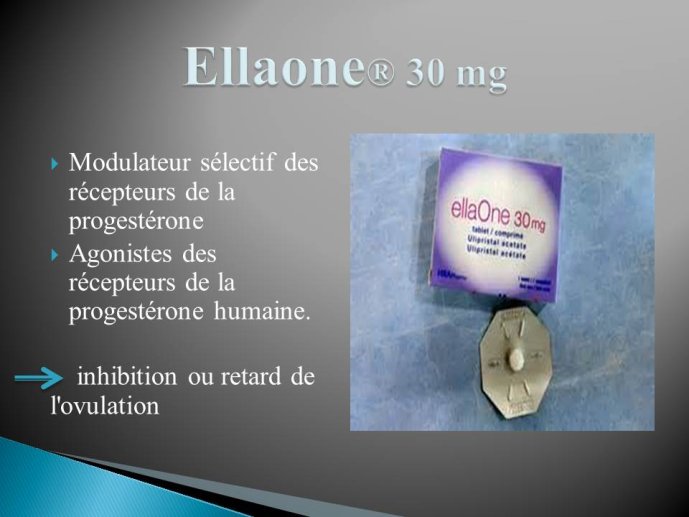 Diapositive12.JPG