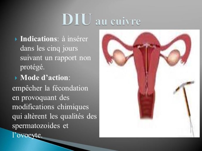 Diapositive15.JPG