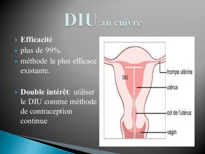 Diapositive16.JPG