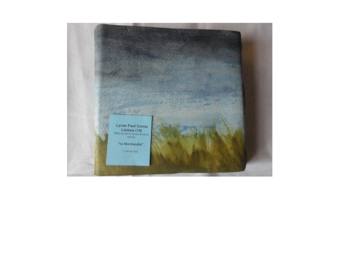 07_anne-laure_leguern_Page_04.png