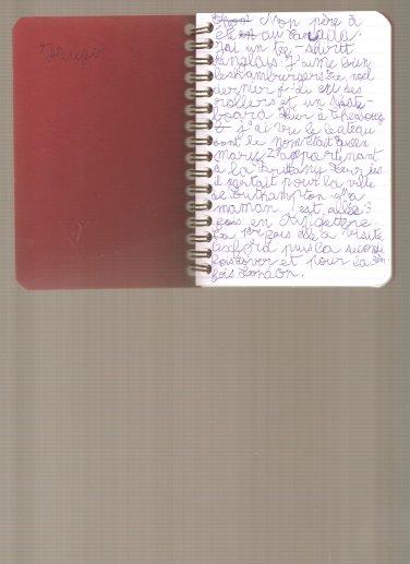 Extrait carnet Hugo.jpg