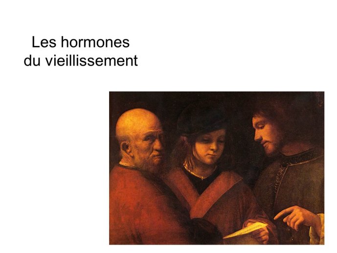 Diapositive8.JPG