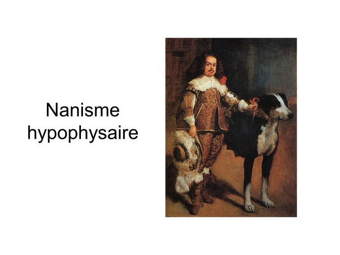 Diapositive9.JPG