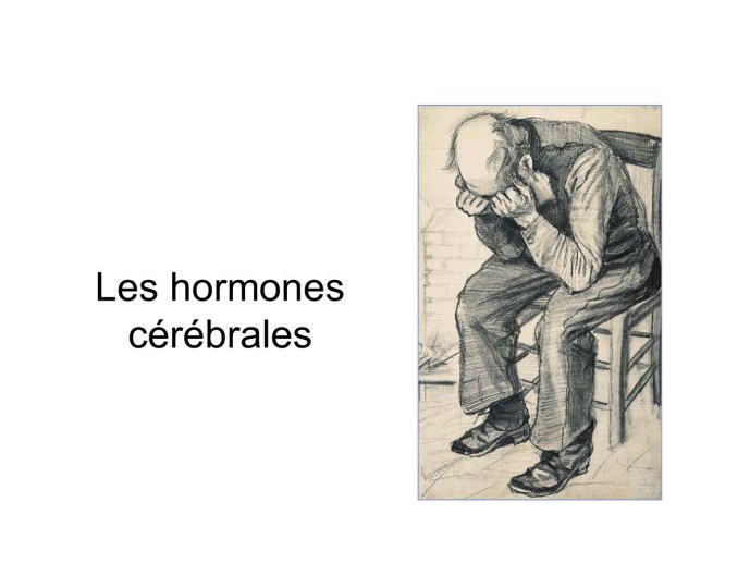 Diapositive12.JPG