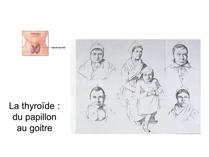 Diapositive14.JPG