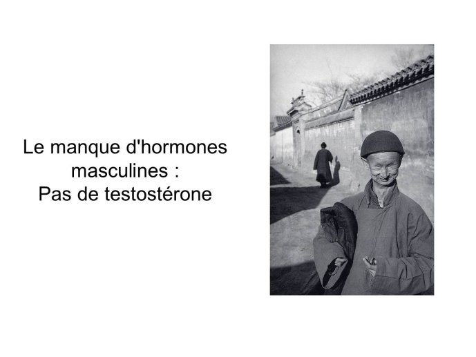 Diapositive18.JPG